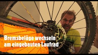 Bremsbelaege wechseln blitzschnell ohne Ausbau Laufrad am Fahrrad Mountainbike [upl. by Enela973]