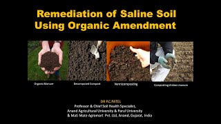 Remediation of Saline Soil Using Organic Amendment  Dr P C Patel [upl. by Yatnwahs225]