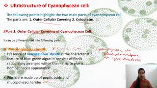 4 cyanophycean cell structure [upl. by Olly]