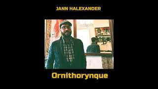 Jann Halexander – Altérités album Ornithorynque 2024 [upl. by Yerdna193]