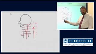 Introducing MRI Time of Flight Effects and MRA 43 of 56 [upl. by Yduj]