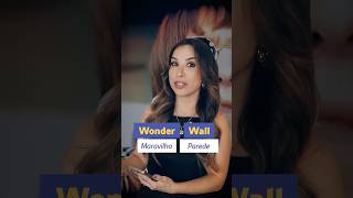 Qual o significado de WONDERWALL na música do Oasis [upl. by Ihcekn]