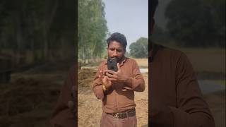 Kheti ya phir naukri  gaaw ki Amir apple kheti farmerlife [upl. by Dareg872]