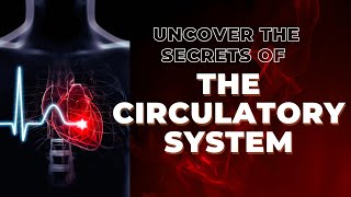 Uncover The Secrets Of 🔴 THE CIRCULATORY SYSTEM 🔴 [upl. by Dloreg]