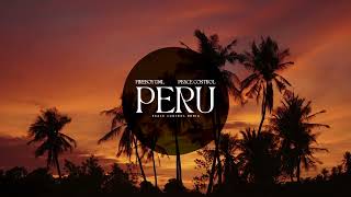 Fireboy DML  Peru Peace Control Remix [upl. by Amasa]