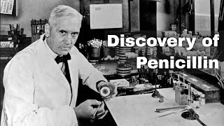 28th September 1928 Alexander Fleming accidentally discovers penicillin [upl. by Nnylylloh896]