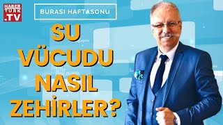 Fazla su tüketimi neye yol açar Prof Dr Oğuz Özyaral yanıtladı [upl. by Danczyk]