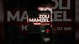 ZOLI MAMZEL  HAAN ft DJ ANI 🔥Coming soon 💥 [upl. by Nahgrom]