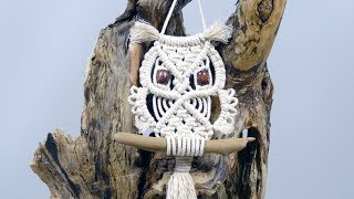 Macrame Owl Wall Hanging Tutorial For Beginners amp Beyond [upl. by Ayikin]