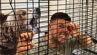 TRAPPED MY BRO IN A BEAR CAGE  PRANK [upl. by Ari390]