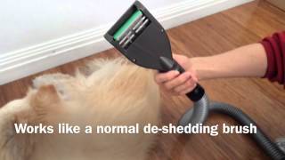 Demonstration for VEBO Vacuum Pet Grooming Tool PGR041a [upl. by Caras948]