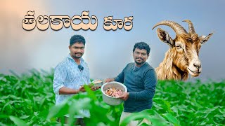 తలకాయ కూర  Goat Head Recipe  Goat Head Curry  Talakaya Kura In TeluguTalakaya KuraMutton Curry [upl. by Jamin220]