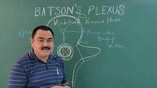 Batsons vertebral venous plexus by Dr A K Singh [upl. by Nylrehs]