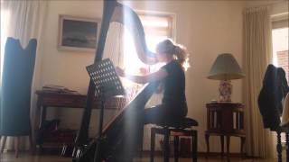 Intouchables soundtrack  Fly by Ludovico Einaudi  Harp [upl. by Baily]