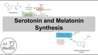 Serotonin and Melatonin Synthesis  Tryptophan Metabolism [upl. by Peters]