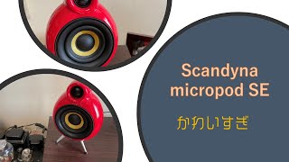 scandyna micropod SE ç©şć°—éŚ˛éźł [upl. by Johna]