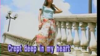 Broken Hearted Woman  Video Karaoke CMP [upl. by Joelie]