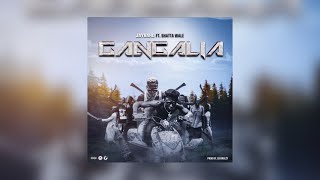 JAY BAHD feat SHATTA WALE  GANGALIA OFFICIAL AUDIO SLIDES [upl. by Urana]