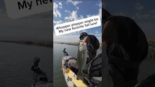 Whopper plopper might be the new fall confidence bait kayakbassfishing bassfishing fishing [upl. by Noryak]