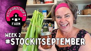 STOCK IT SEPTEMBER 2024 Week 2 Southwest Salsa how to make salsa at home stockitseptember24 [upl. by Catherina]