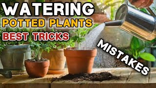 how to water potted plants  everything you need to know garden watering [upl. by Laeria]