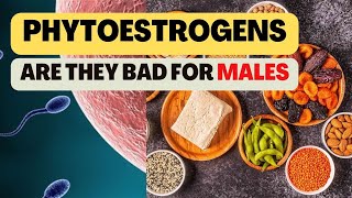 Phytoestrogens  Are they bad for Males  Health Benefits  Side Effects  Food and Nutrition [upl. by Theran]