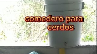 comedero para cerdos [upl. by Strohbehn]