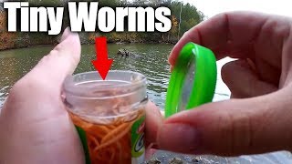 Fishing with Tiny Artificial Worms  Bluegill amp Berkley GULP Alive [upl. by Leicam]