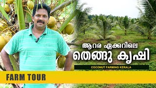 ആറര ഏക്കറിലെ തെങ്ങു കൃഷി  കേരശങ്കര ഇനത്തിൽപ്പെട്ട തെങ്ങുകൾ  Hybrid Coconut Tree  Coconut Farming [upl. by Rexfourd]