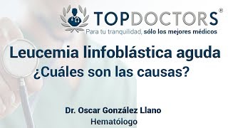 Leucemia Linfoblástica Aguda  ¿Cuáles son las causas de este cáncer [upl. by Ttehc308]