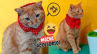 DIY Como hice ACCESORIOS para mis GATOS 😻💕 [upl. by Nickolaus]