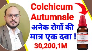 Colchicum Autumnale  Colchicum 30  200 Uses And benefits In Hindi  गठिया वात की होम्योपैथिक दवा [upl. by Zane]