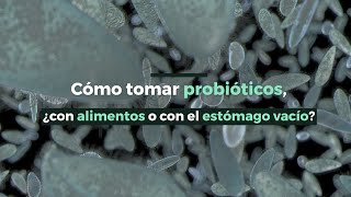 Cómo tomar probióticos ¿con alimentos o con el estómago vacío [upl. by Flita435]