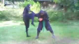 Ninjutsu 7th  3rd Kyu Some Techniques [upl. by Erdda]