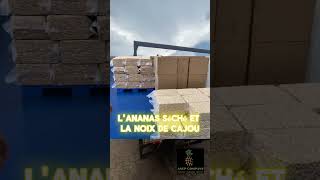 Export d’ananas et noix de cajou negoce importexport investirenafrique agriculture [upl. by Ayekim]