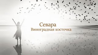 Севара  Виноградная косточка [upl. by Hermie494]