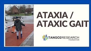 Ataxia or ataxic gait [upl. by Canotas]