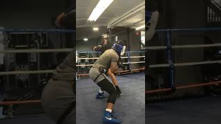 Beginners sparring boxing [upl. by Colbye]