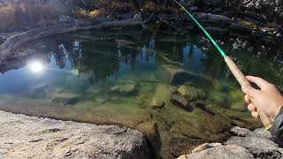 Big Pine Tenkara Fishing [upl. by Alidia]