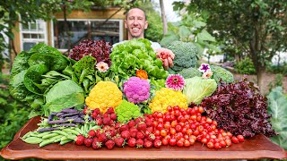 Organic Garden Harvest Here is What I Harvested Today [upl. by Sussna348]