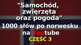 Język norweski nauka  samochód zwierzęta oraz pogoda po norwesku  1000 słów część 3 [upl. by Ahsiekat]