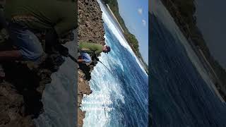 Rockfishing with minnow 27gr mackerel fish [upl. by Ajiak70]