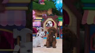 Mittens Pants 🐶 Animals for Kids shorts mittensandpants [upl. by Alia]