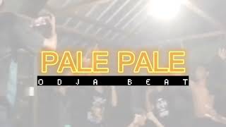 PALE PALE SOUND TIKTOK VIRAL ODJA BEAT [upl. by The950]