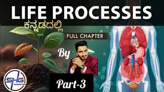 Animal Nutrition Life Processes 🌿🫀🫁🦠Part 3 education for sslc puc Students✨biology new [upl. by Issak906]