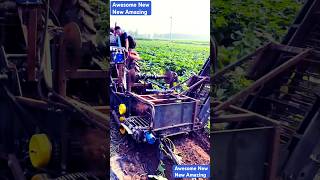 Awesome new tuber crop harvester machine with disc plough and smooth ploughing ability [upl. by Avera]