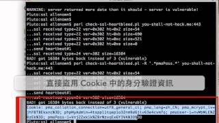 OpenSSL CVE20140160 Heartbleed 漏洞利用 [upl. by Aniara348]