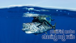 Dogtooth Tuna Rodeo  Epic Spearfishing Adventure [upl. by Eeliak]