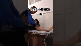 knee extension lag treatment exercise chiropractor physiotherapy jointpain follow shorts [upl. by Erasme450]