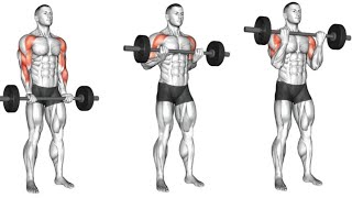 Barbell Exercises The Ultimate Guide for Muscle Growth [upl. by O'Donoghue496]